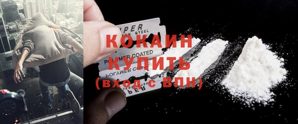 ешки Бикин