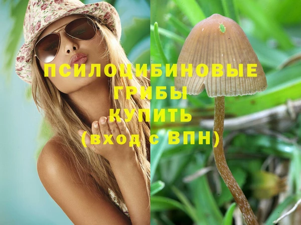 Альфа ПВП Надым