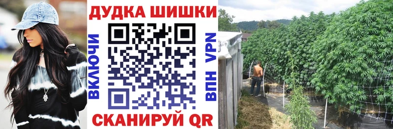 Бошки марихуана AK-47  даркнет сайт  Новосиль 